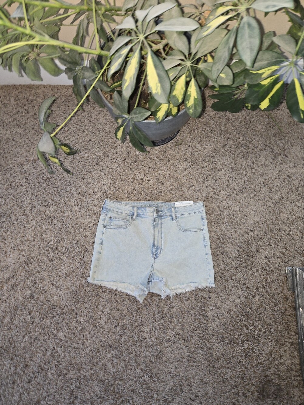 NWT American Eagle Shorts